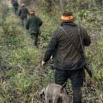 Hunting day in Slovakia