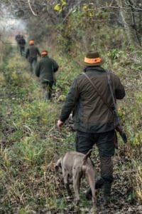 Hunting day in Slovakia