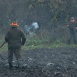 Hunting day in Slovakia