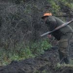 Hunting day in Slovakia