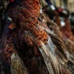 Hunting day in Slovakia