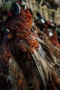 Hunting day in Slovakia