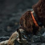 Hunting day in Slovakia