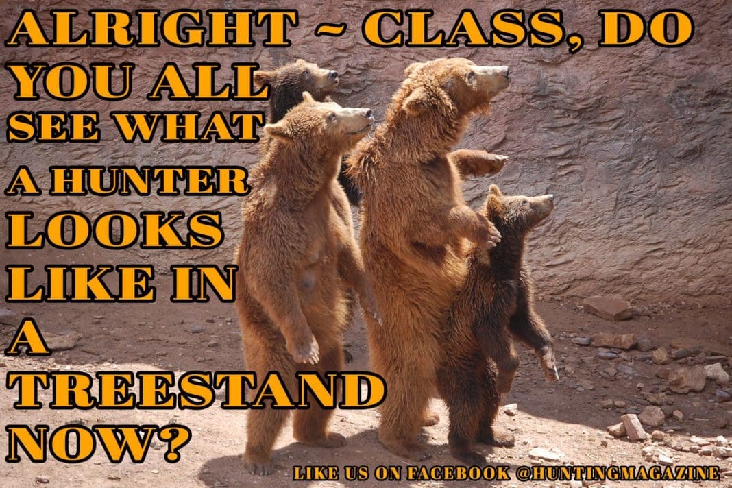 Bear hunting Meme | Hunting Magazine