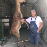 Calvin Hogg Jr shot this Red Stag While Hunting in Kountze Texas (2)