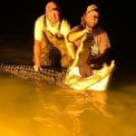 Massive South Carolina Gator Taken by Hunter Neeley