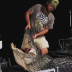Massive South Carolina Gator Taken by Hunter Neeley