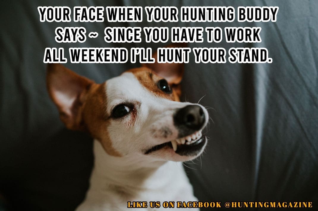 Funny Hunting Meme: Your face when your hunting buddy says - "Since you have to work all weekend I'll hunt your stand."