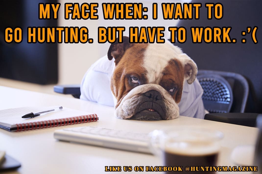 Hunting Meme: My Face When - I Want to Go Hunting. But Have to Work. | Hunting Magazine
