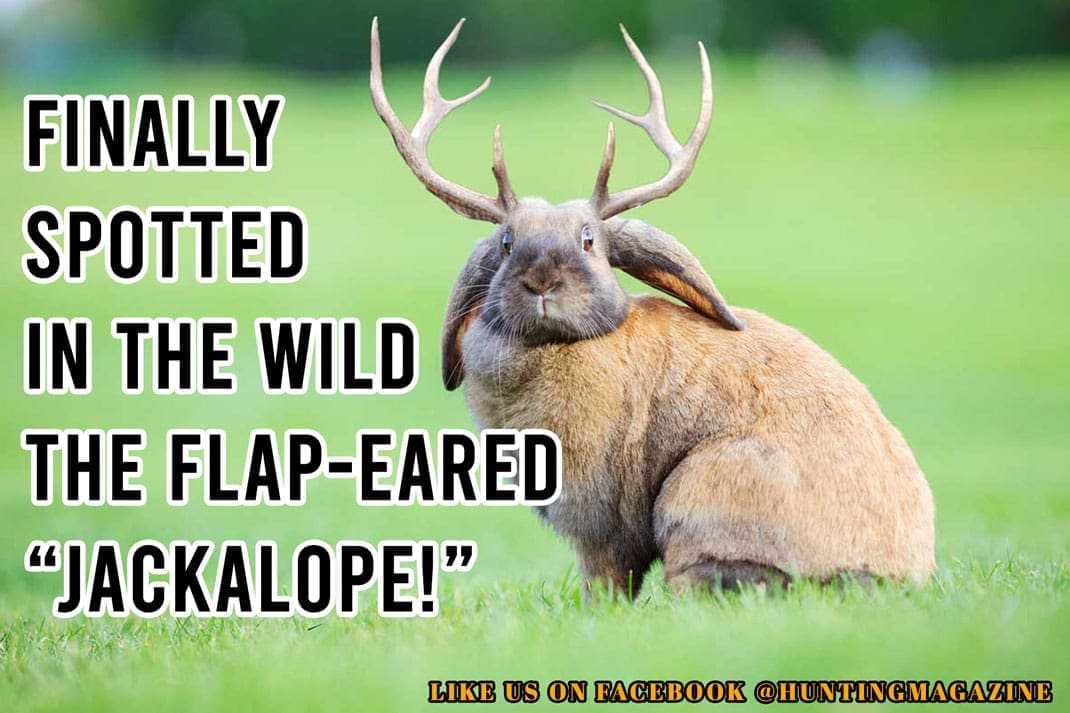Funny Deer Hunting Meme: Finally Spotted in the Wild the Elusive Flap-Eared "Jackalope" in the Wild! | Hunting Magazine