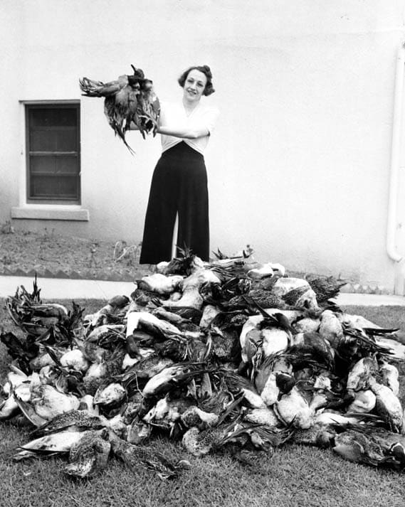Market Hunting of Waterfowl - Hunting Magazine
