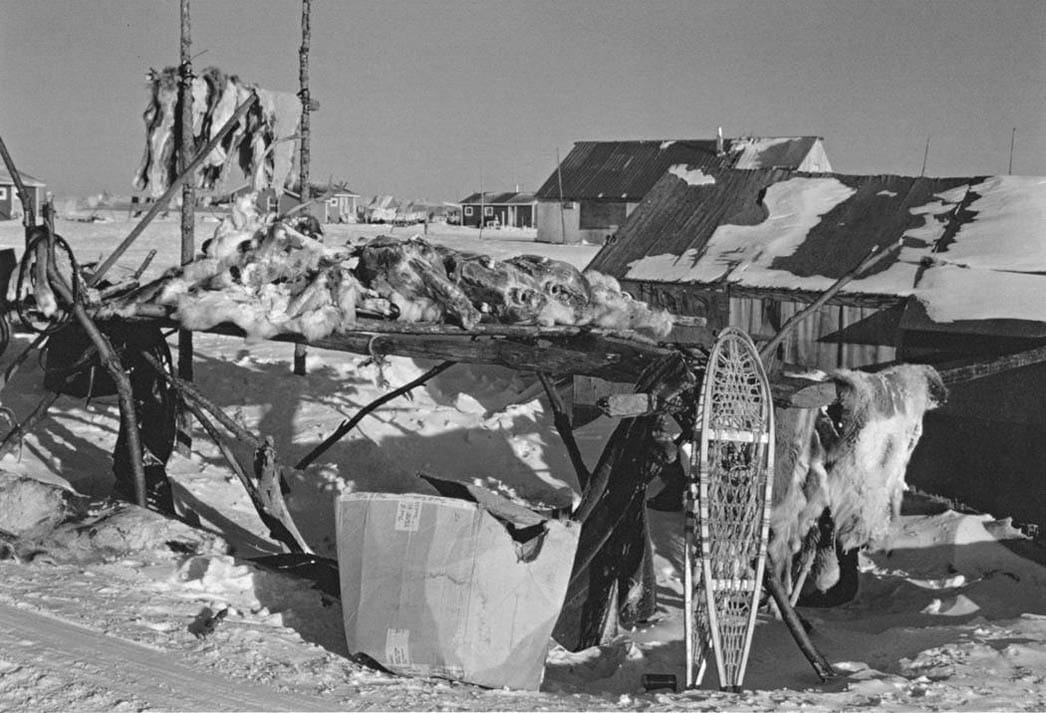 Raised Platform with butchered Caribou or Reindeer - Hunting Magazine