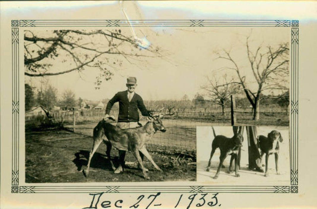 Unidentified man wearing a cap, cardigan, and tie, holding up a dead deer. He is standing in front of a wire fence that borders a roadway. Buildings are visible in the left background. Inserted into the lower right corner of the photograph is an image of two dogs - Hunting Magazine
