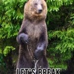 Funny Hunting Meme: Did I just hear lets break for lunch? | Hunting Magazine