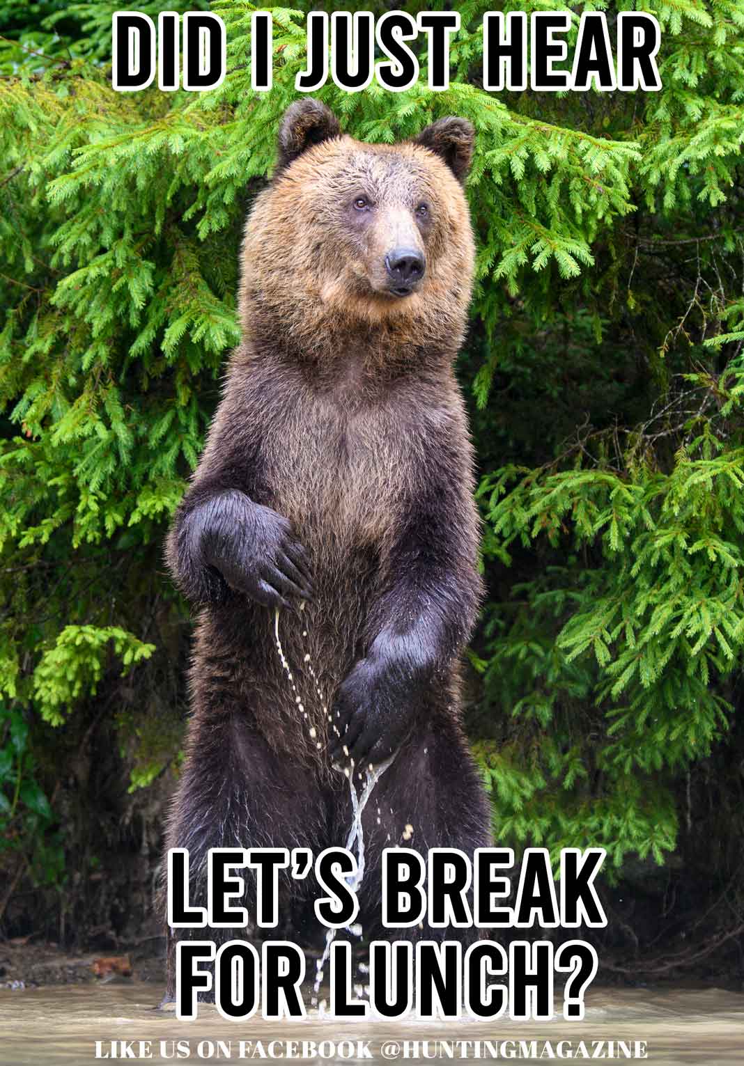 Funny Hunting Meme: Did I just hear lets break for lunch? | Hunting Magazine