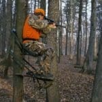 South Carolina Regulation Bans the Use of Natural Hunting Deer Lures and Deer Attractants | Hunting Magazine