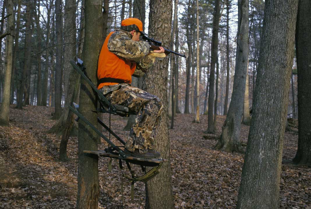 South Carolina Regulation Bans the Use of Natural Hunting Deer Lures and Deer Attractants | Hunting Magazine South Carolina Regulation Bans the Use of Natural Hunting Deer Lures and Deer Attractants | Hunting Magazine