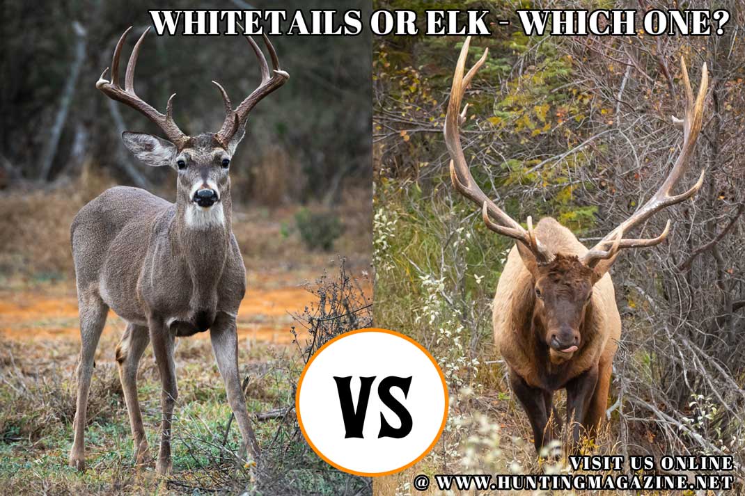 Hunting Meme: Hunting Whitetail Deer vs Hunting Elk - Which One Do You Choose?