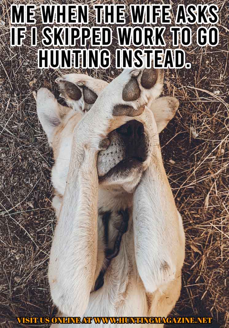 Hunting Meme: Me When The Wife Asks If I Skipped Work to go Hunting Instead.