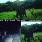 Craigslist Buck New Lease, New Friends, and the Buck of a Lifetime (8)
