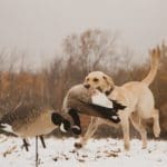 IMG_0671
