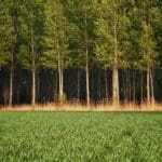Illinois Deer Hunting Land | Hunting Magazine