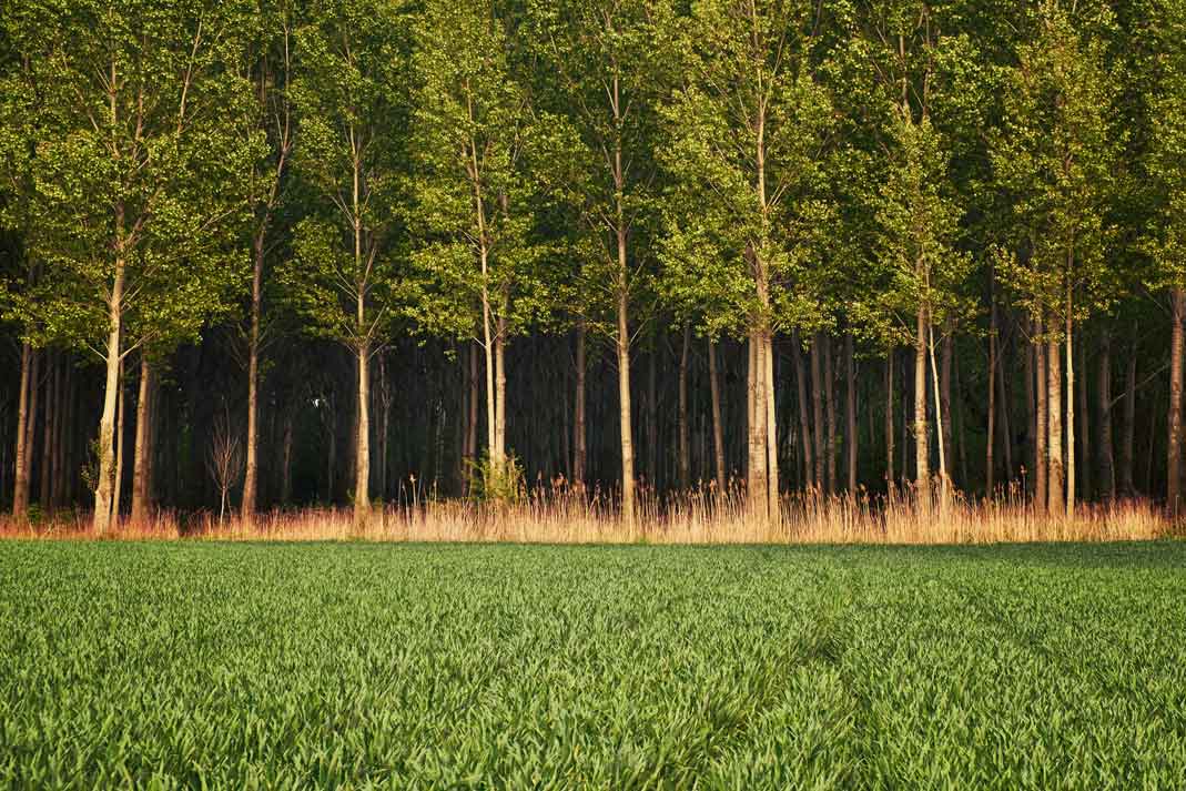 Illinois Deer Hunting Land | Hunting Magazine