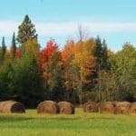 Wisconsin Hunting Land | Hunting Magazine