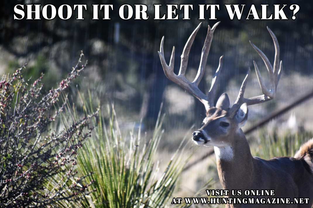 Hunting Meme: Shoot it or Let it Walk | Hunting Magazine