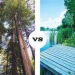 In-the-Woods-VS-At-the-Lake-Meme