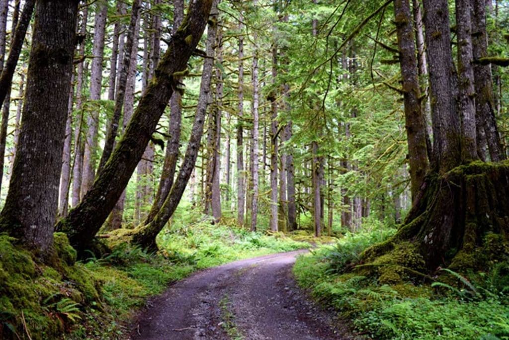 There are Many Benefits to Owning Your Own Recreational Land - Hunting Magazine