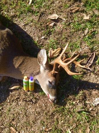 Synthetic Deer Scents Are BETTER Than Natural Urine