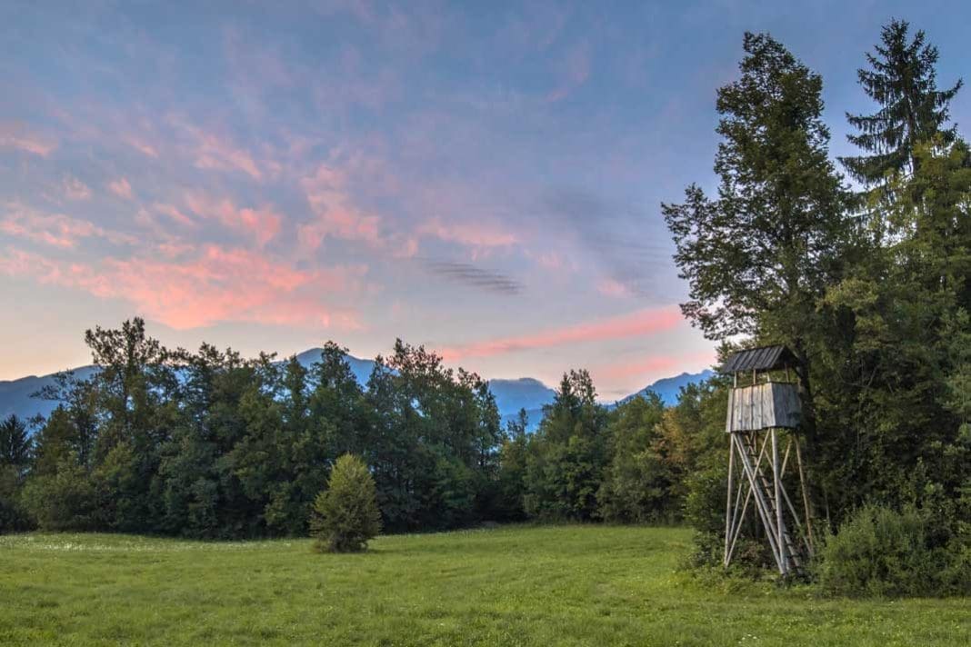 Tips For Purchasing the Best Hunting Land - Hunting Magazine