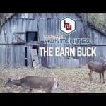 hunting-a-buck-from-a-barn-hunt-united