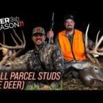small-farm-studs-the-october-success-continues-deer-season-21