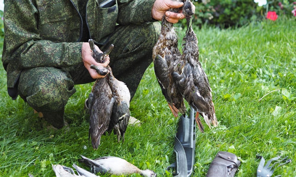 Minnesota Small Game Hunting Season - Hunting Magazine