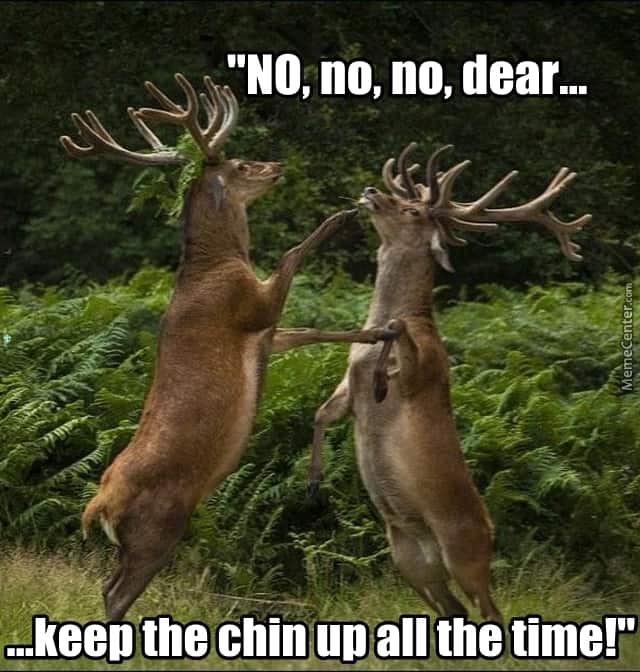 Hunting Meme: No, No, No, Dear…Keep the chin up all the time!
