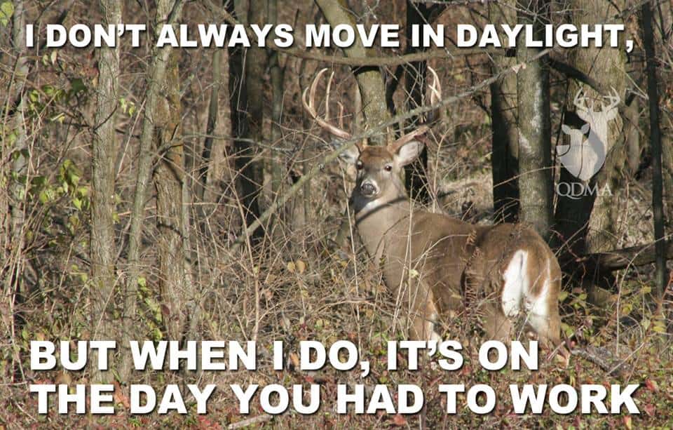 Hunting Meme: I don't always move in daylight but when I do it's always on the days when you're working.