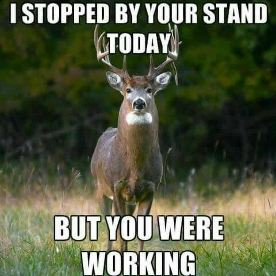 Deer Hunting Meme: I stopped by your deer hunting stand today and you were still working!