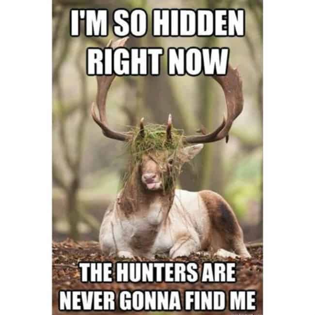 Hunting Meme: My Hunting Camo is So Good, No Deer Hunter Will See Me!
