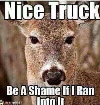 Hunting Meme: Nice Truck! Be a Dam Shame if I Ran into it!