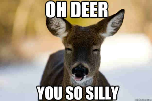 Hunting Meme: Oh Dear, Hunter You are Silly!
