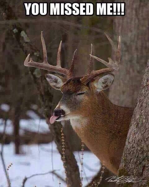 Hunting Meme: Na, Na, Boo, boo You Missed Me!