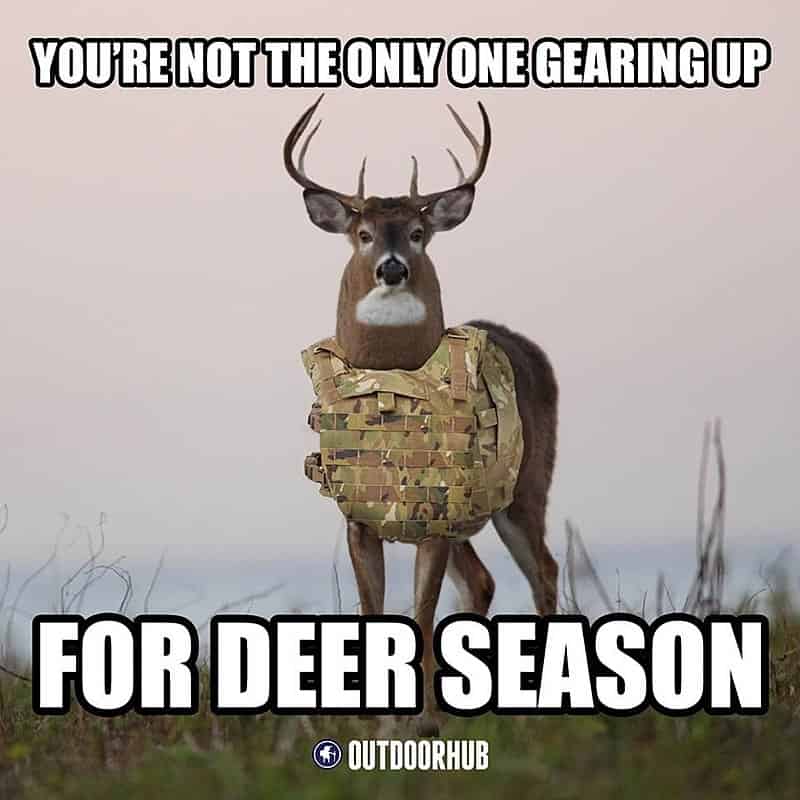 Deer Hunting Meme: You're'not the only one gearing up for deer hunting season - funny hunting memes