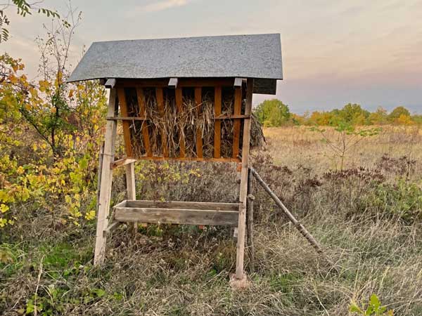 Where its legal Baiting and Feed Deer Can Bring them to Your Hunting Area - Hunting Magazine