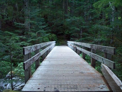 Canyon Creek Bridge | Deer on Trail Camera Canyon Creek Bridge