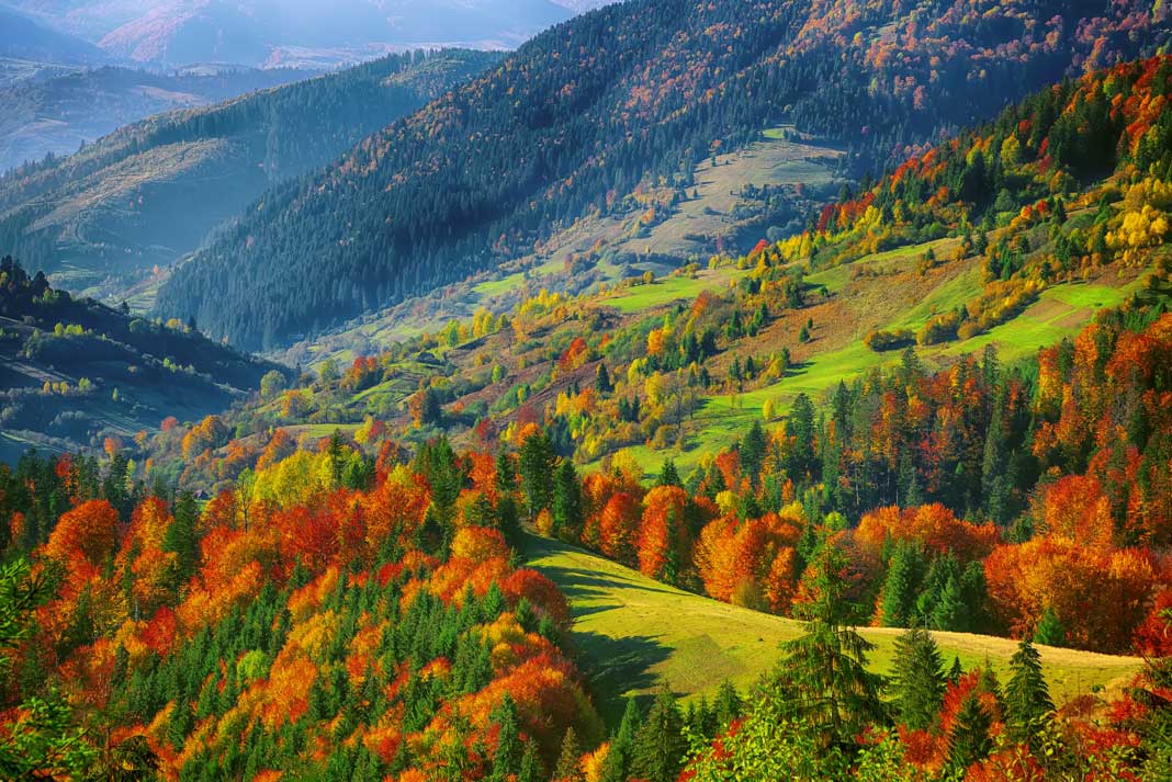 Should I Buy Hunting Land? Pros, Cons, and Things You Should Know
