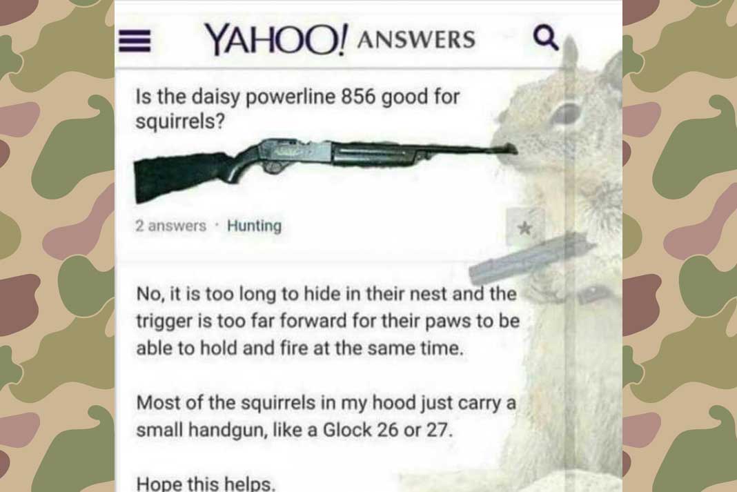 squirrel hunting meme - squirrel hunter meme - Hunting Magazine