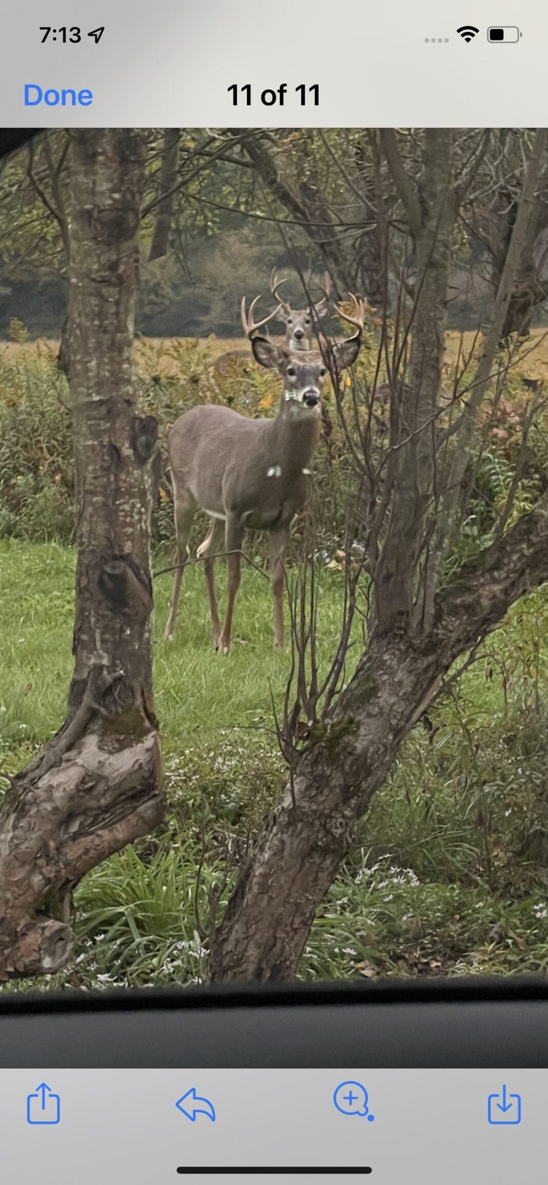 Reader Hunting Photos - Hunting Magazine