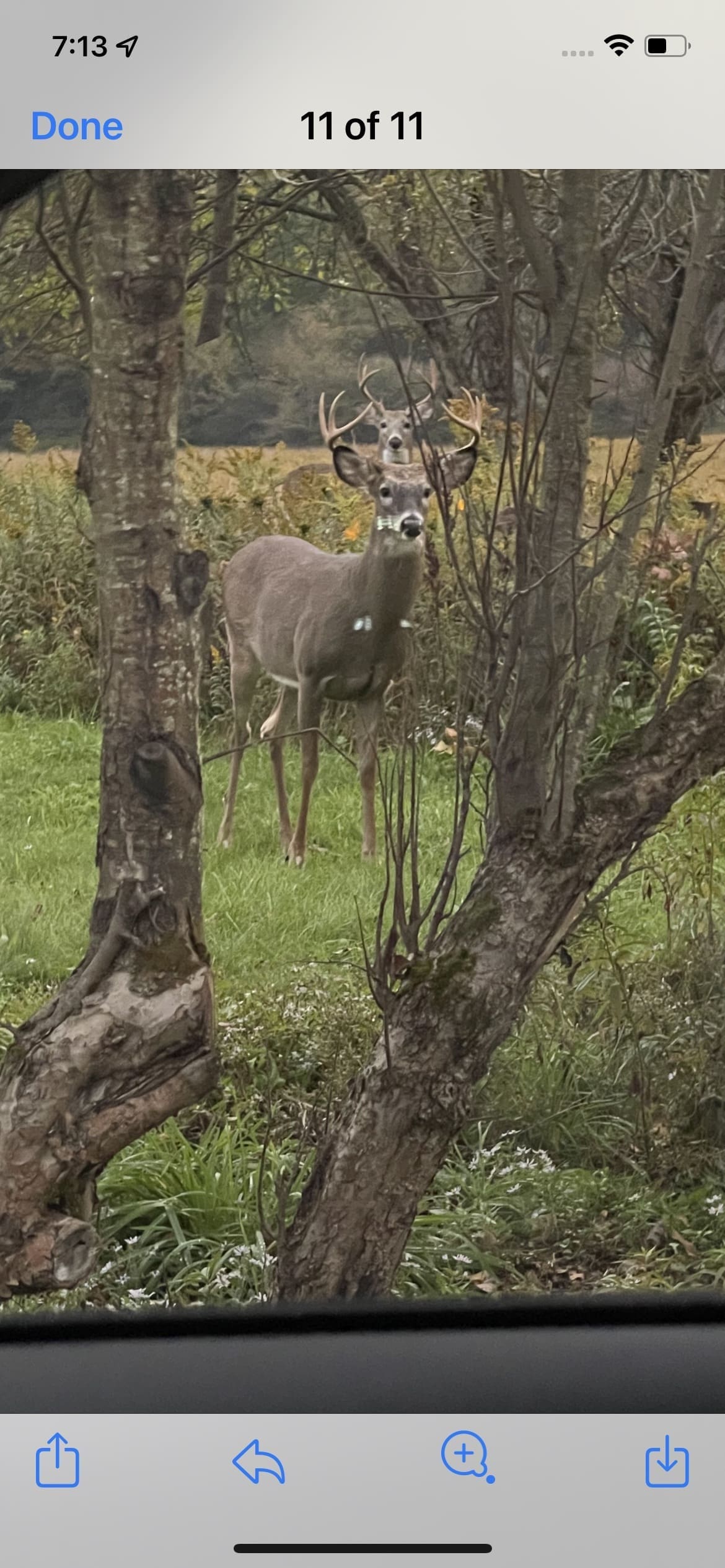 Reader Hunting Photos - Hunting Magazine